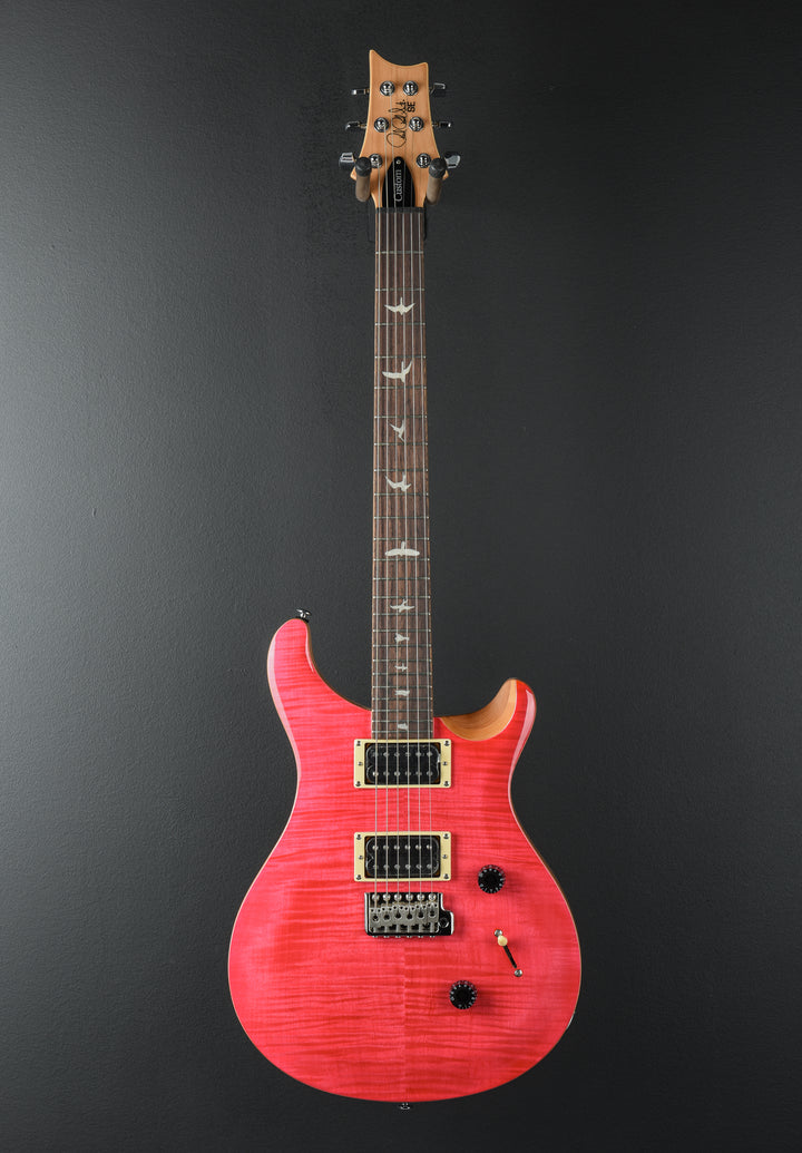 SE Custom 24 &