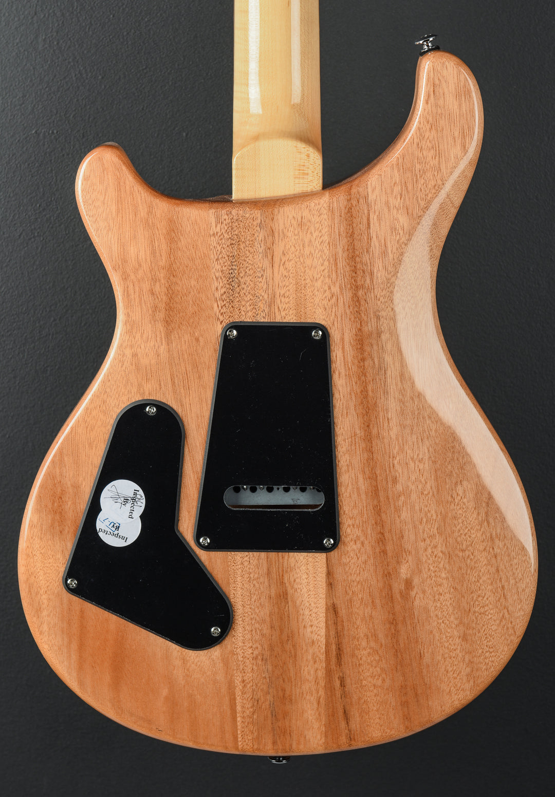 SE Custom 24 &
