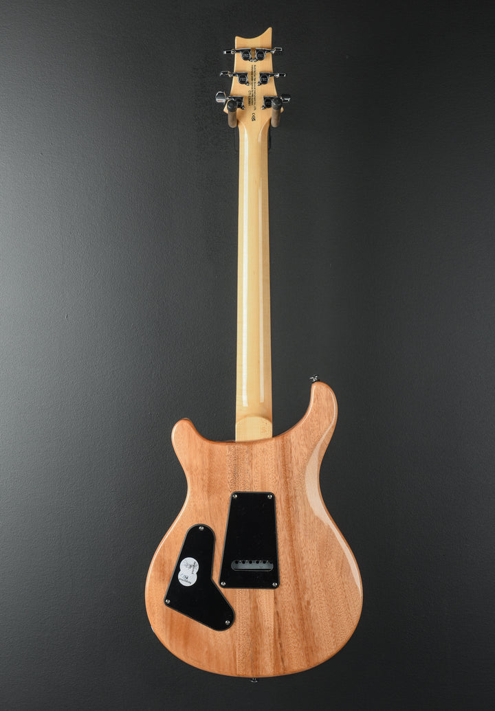 SE Custom 24 &