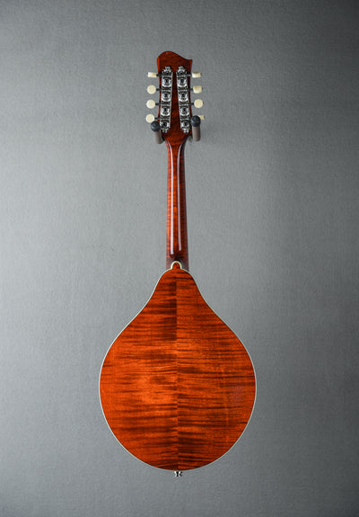MD605 Mandolin
