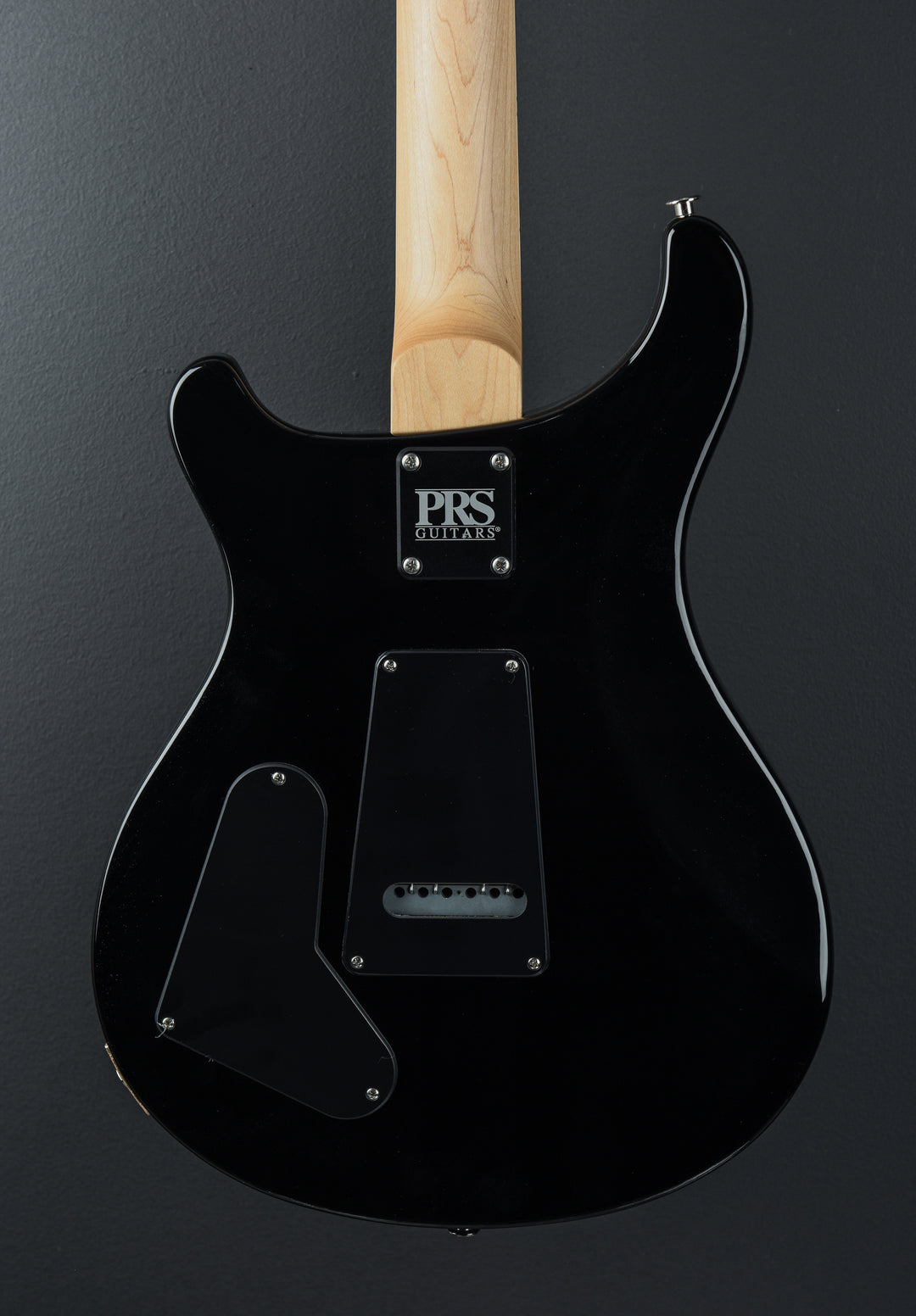 Swamp Ash Special - Black Doghair Smokeburst