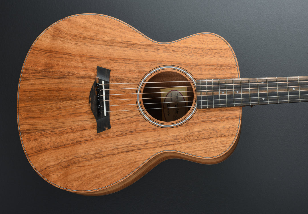 GS Mini-E Koa '23