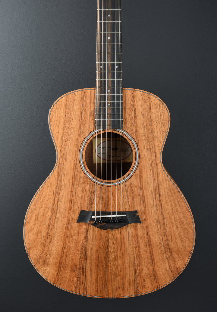 GS Mini-E Koa '23