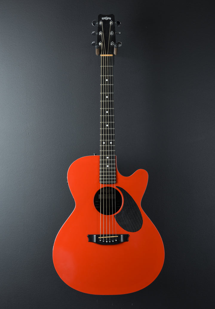 A-WS 1000 &