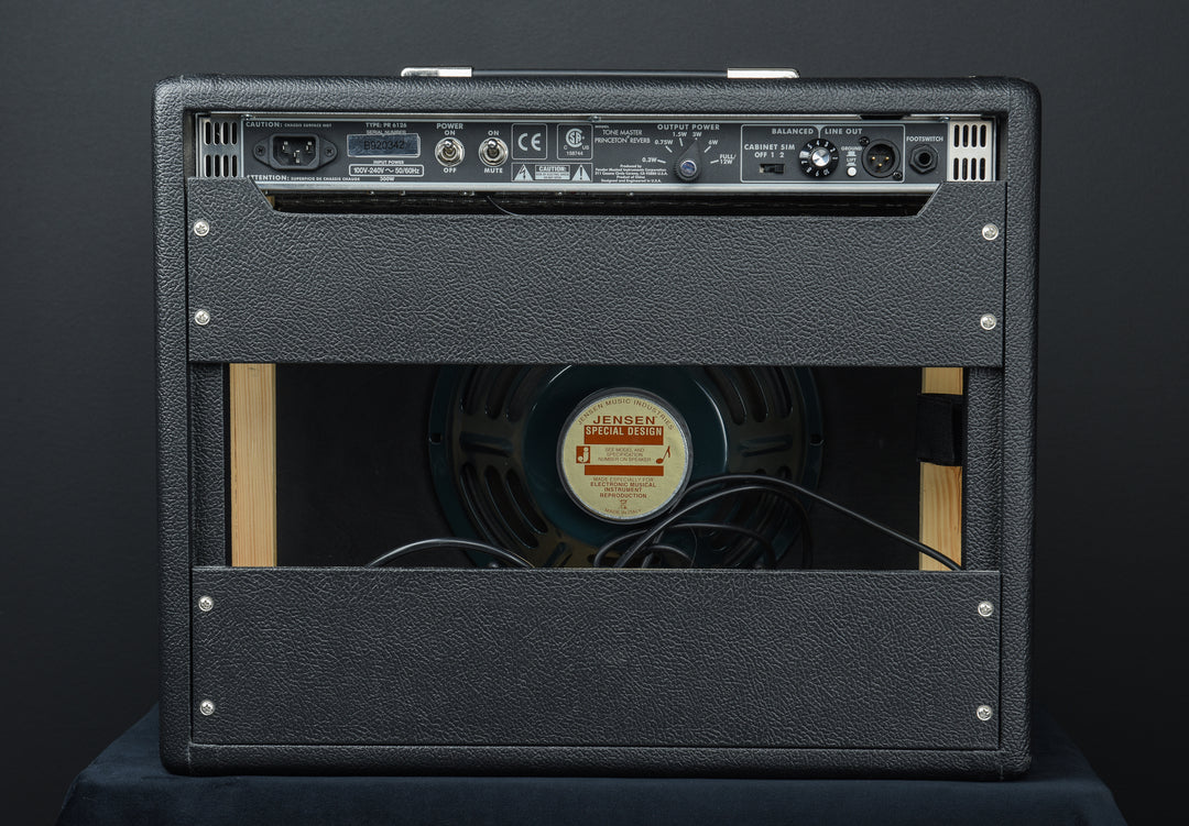 USED Tone Master Princeton Reverb Recent