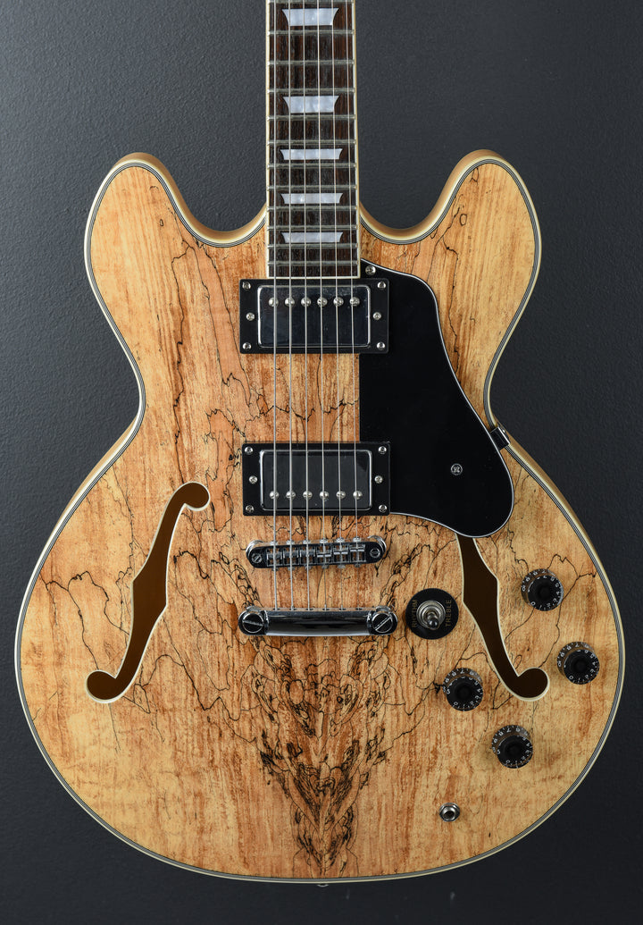 JSN Spalted Maple Semi-Hollow, Recent