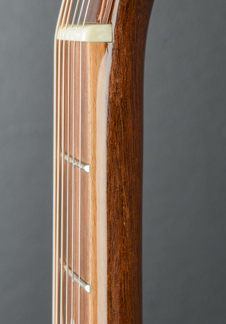 D-10SCE-DL-N, Recent