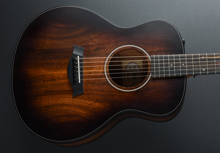GS Mini-E Koa Plus '24