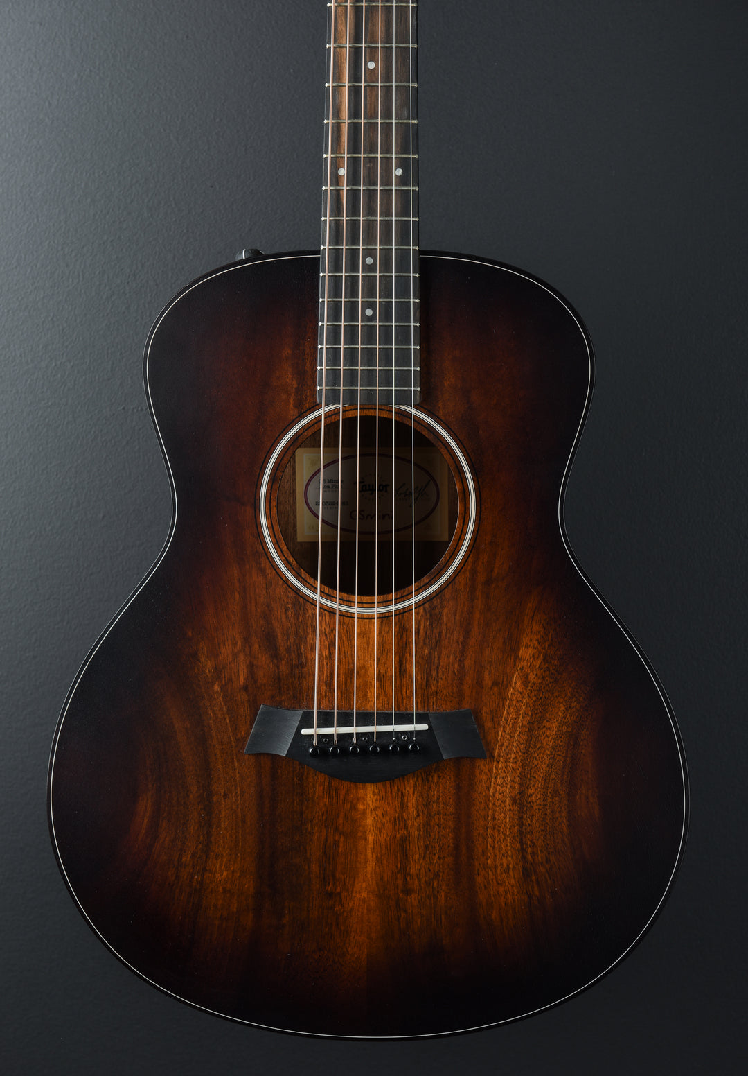GS Mini-E Koa Plus '24