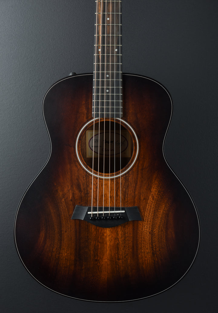 GS Mini-E Koa Plus '24
