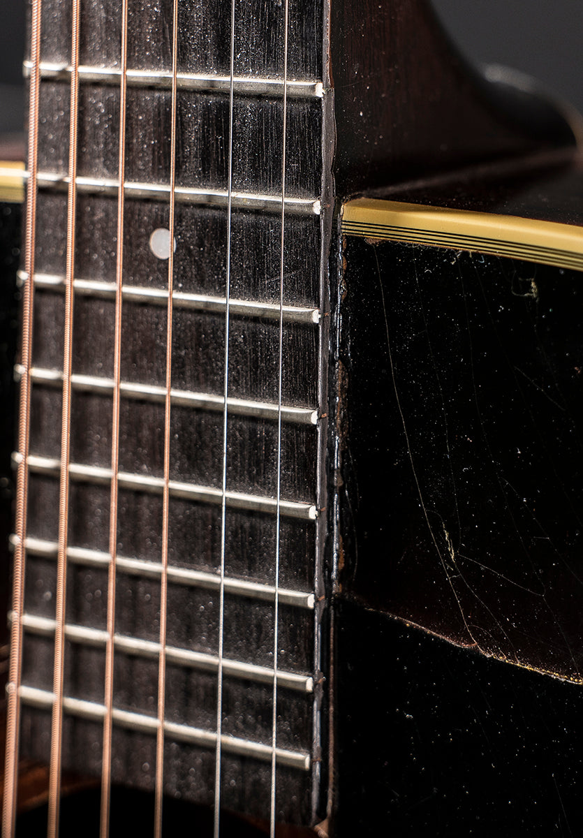 D-50 &
