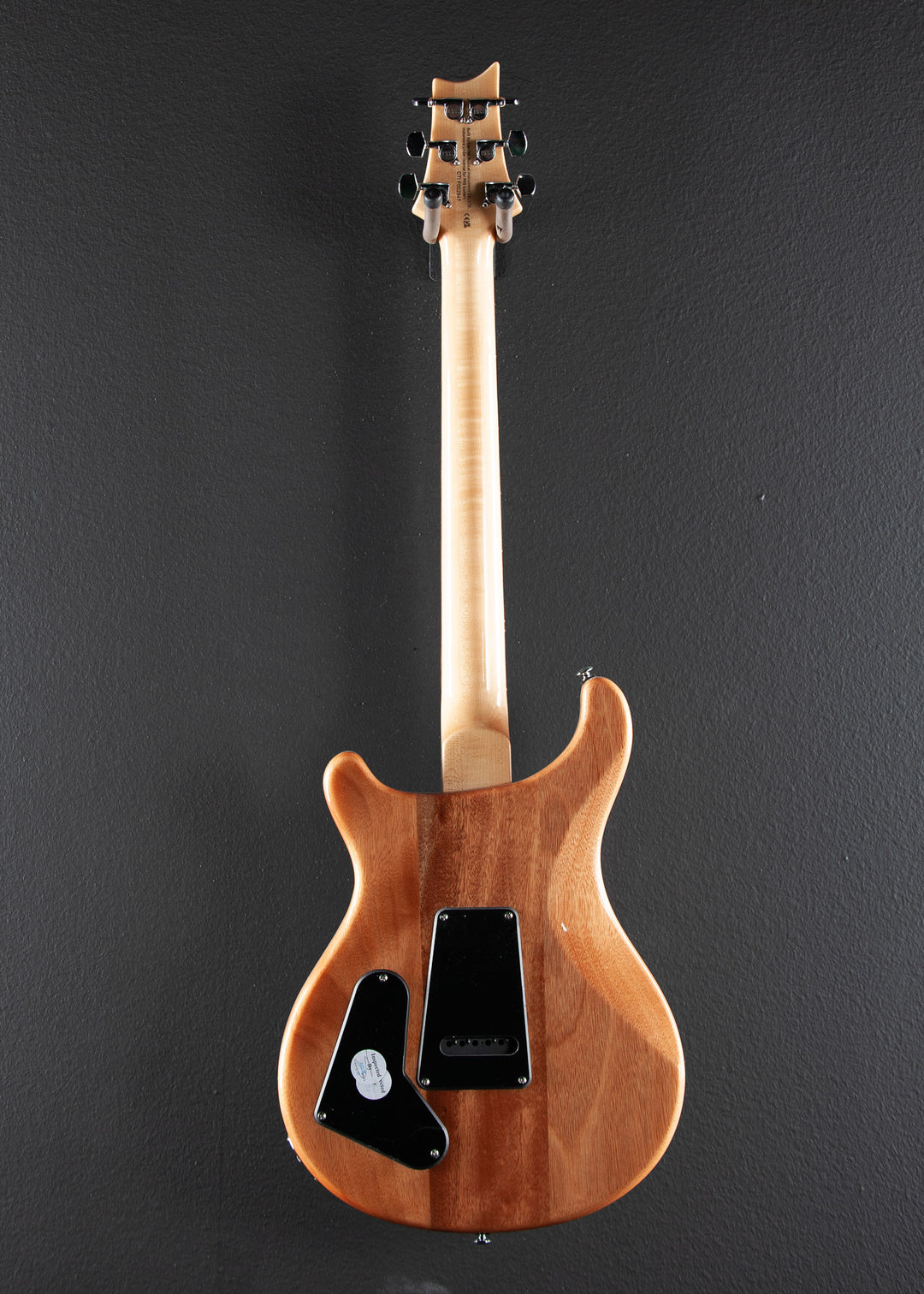 SE Custom 22 Semi-Hollow '23
