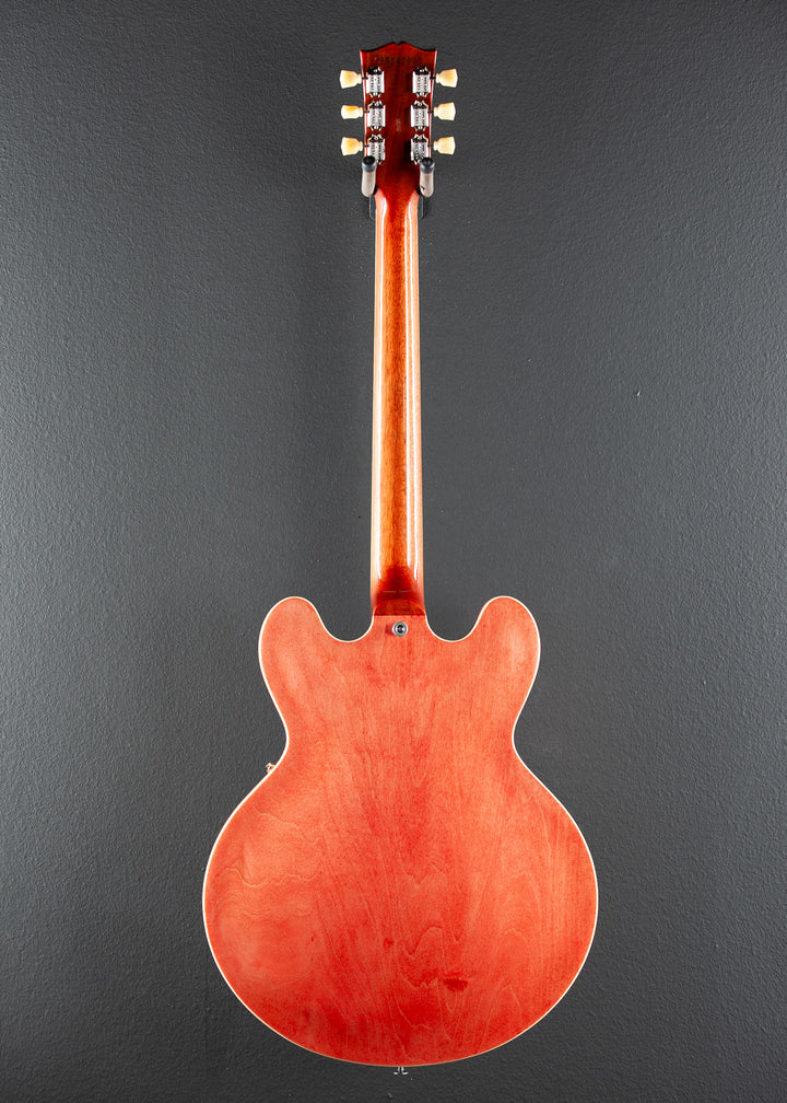 ES-335 Custom Color '24