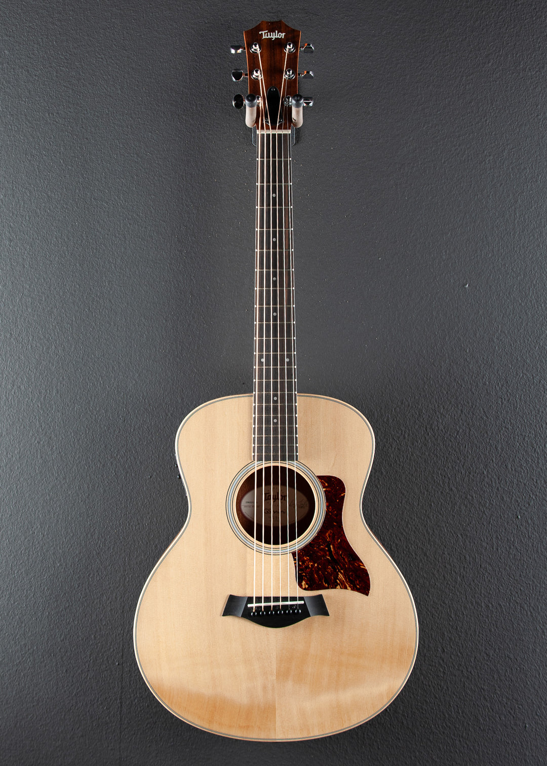 GS Mini-e Rosewood '21