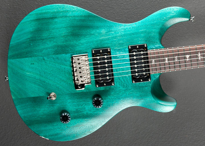 SE CE-24 Standard Satin '23