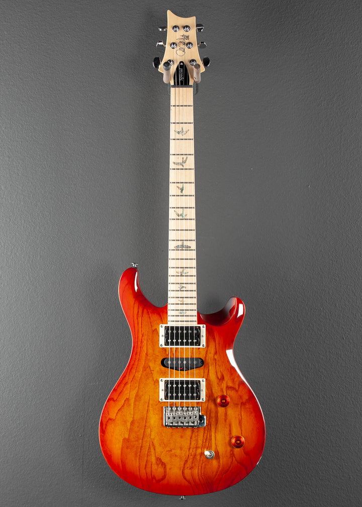 SE Swamp Ash Special '23