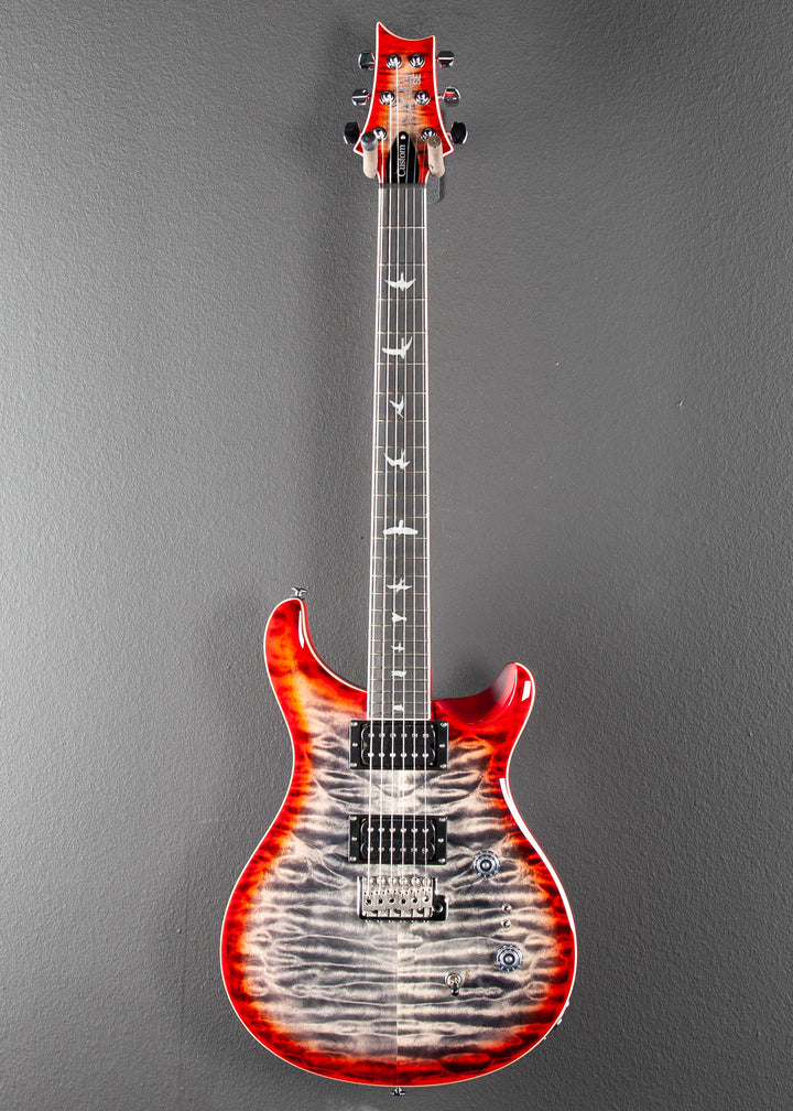 SE Custom 24-08, '24