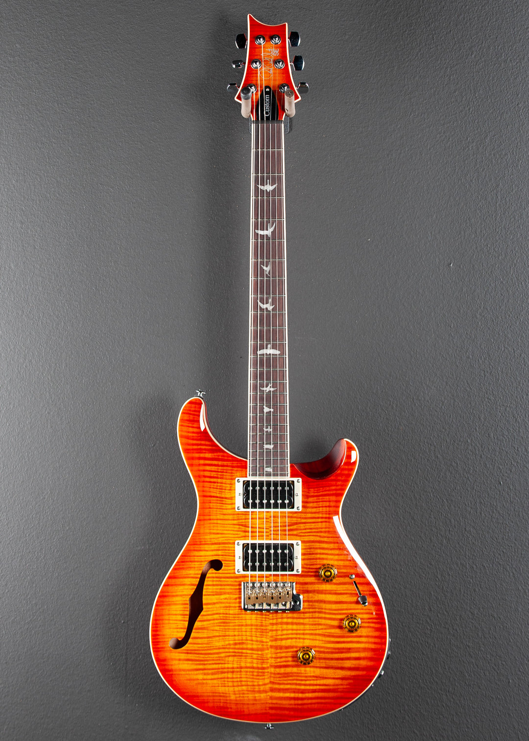 SE Custom 24 Semi Hollow Piezo '24
