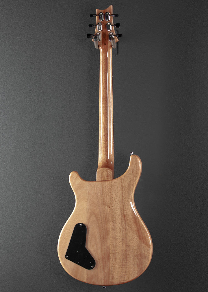 SE Paul's Guitar '22