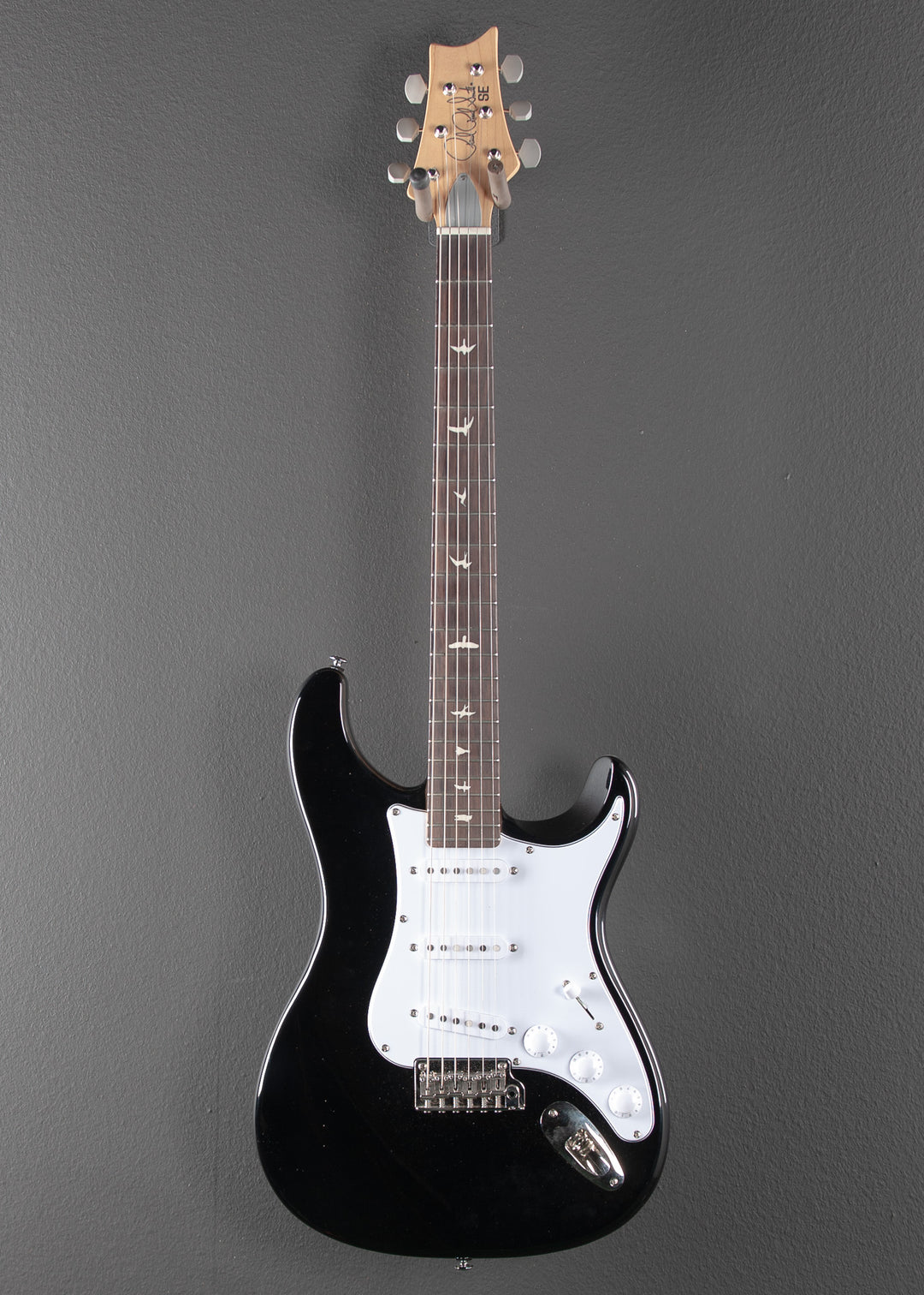 SE Silver Sky w/Rosewood '23