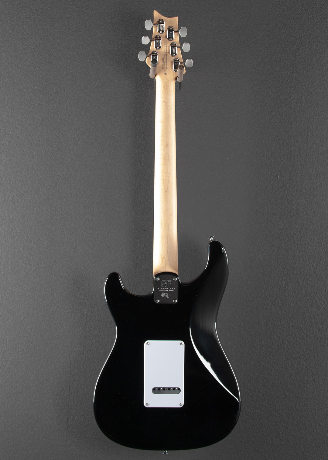 SE Silver Sky w/Rosewood '23