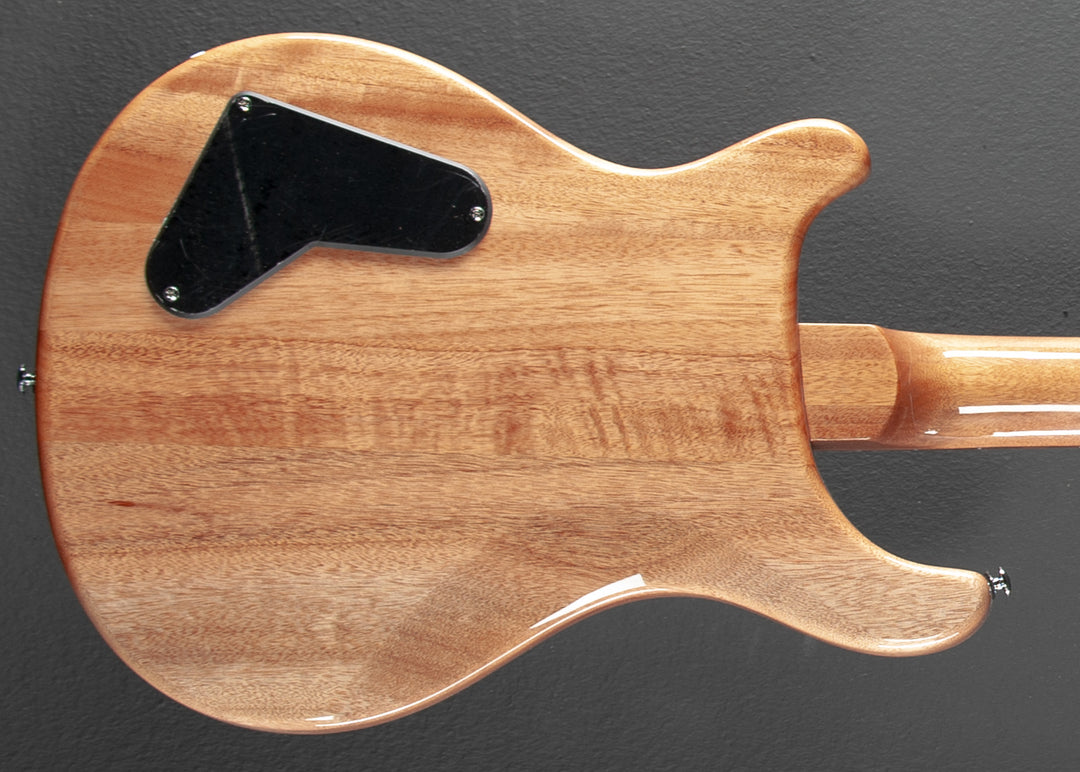 SE Paul's Guitar '22