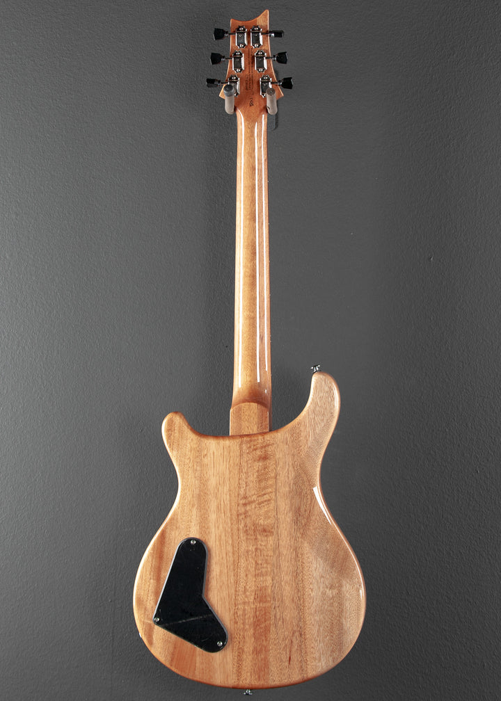 SE Paul's Guitar '22