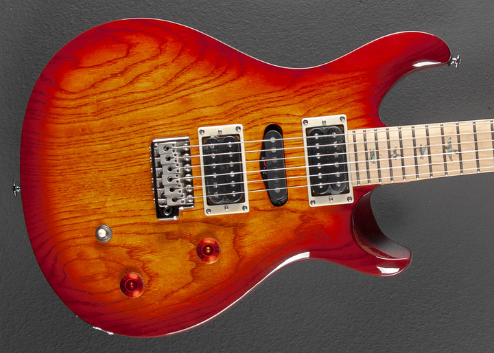 SE Swamp Ash Special '23