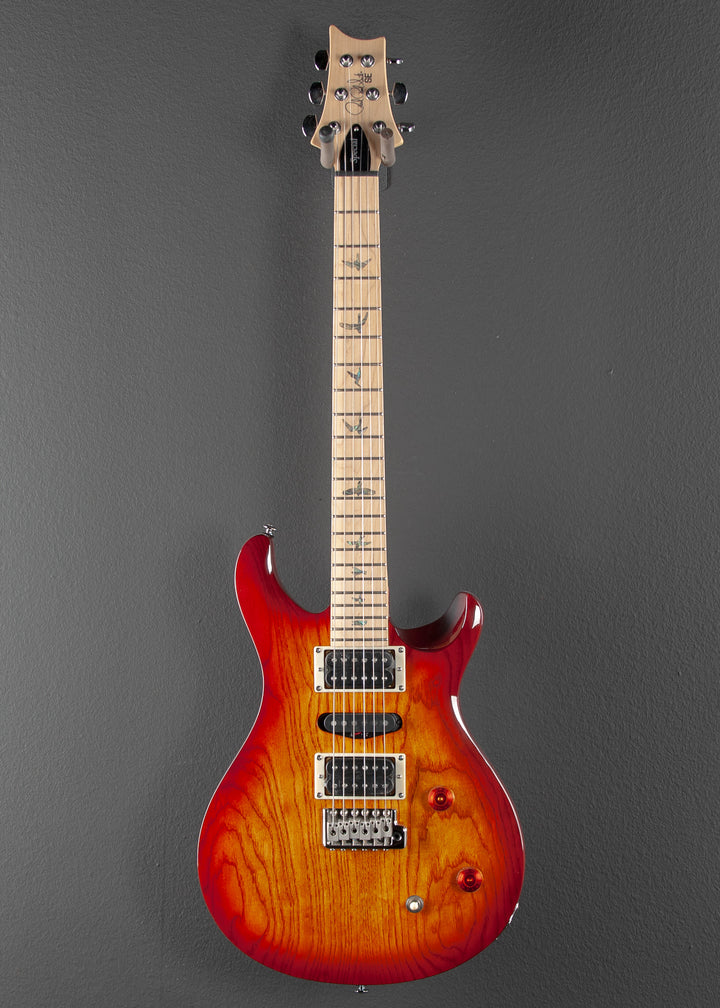 SE Swamp Ash Special '23