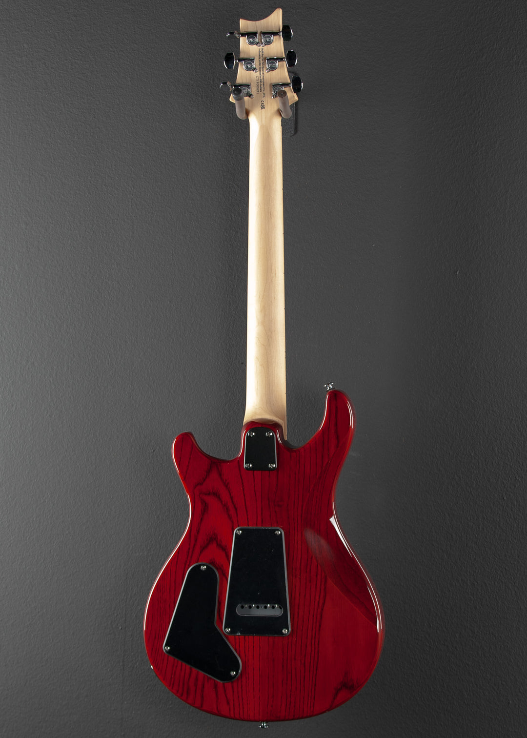 SE Swamp Ash Special '23