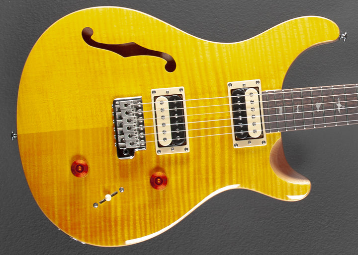SE Custom 22 Semi-Hollow '22