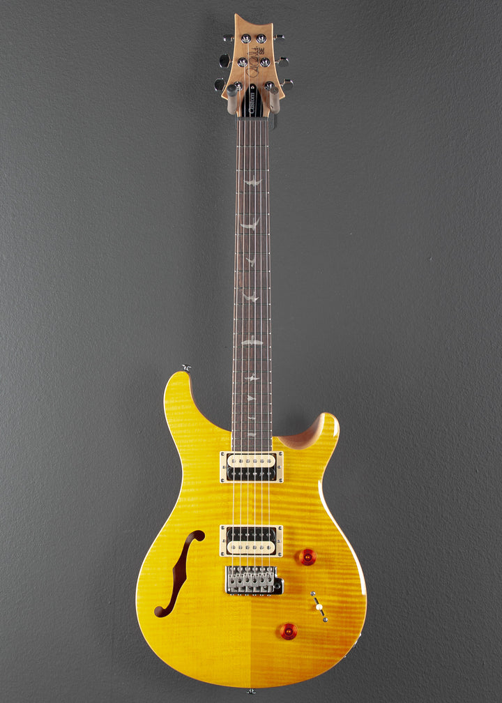SE Custom 22 Semi-Hollow '22
