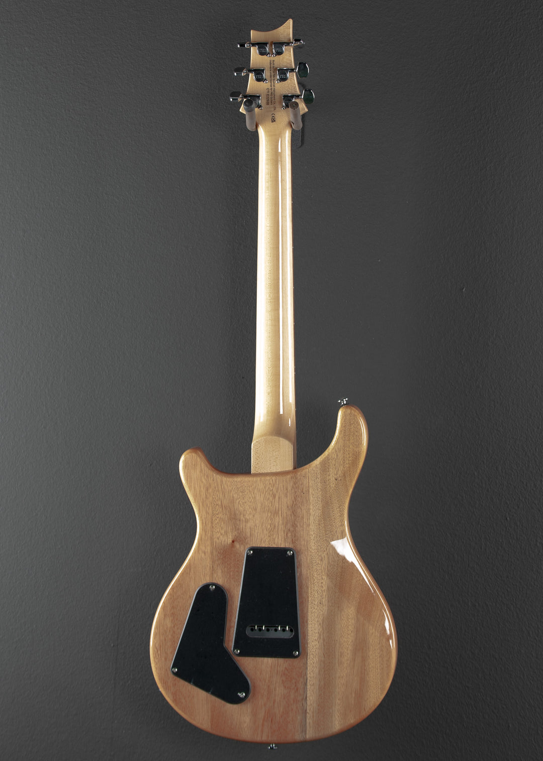 SE Custom 22 Semi-Hollow '22