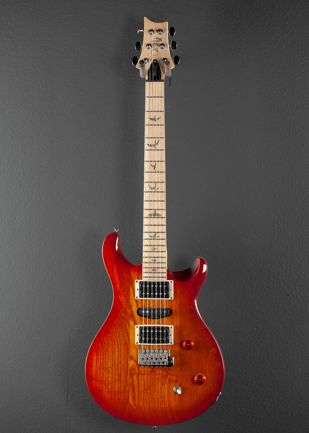 SE Swamp Ash Special '23
