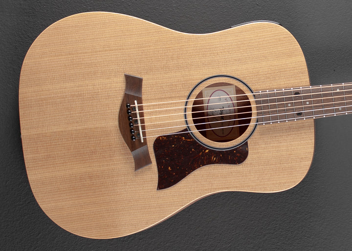 Big Baby Taylor (BBTe) '25