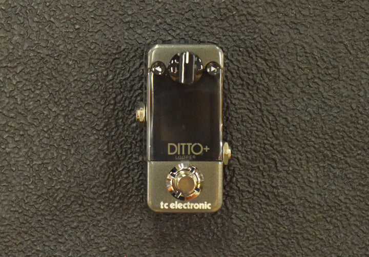 Ditto+, Recent