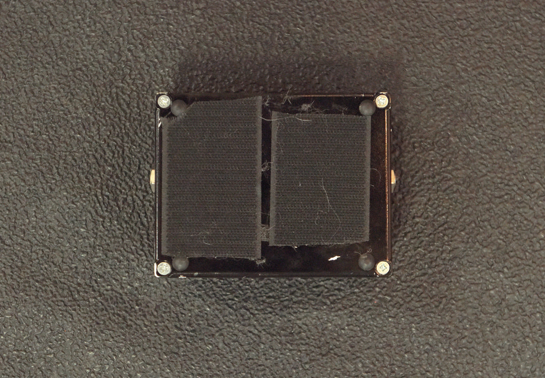 Dumbloid Special, Recent