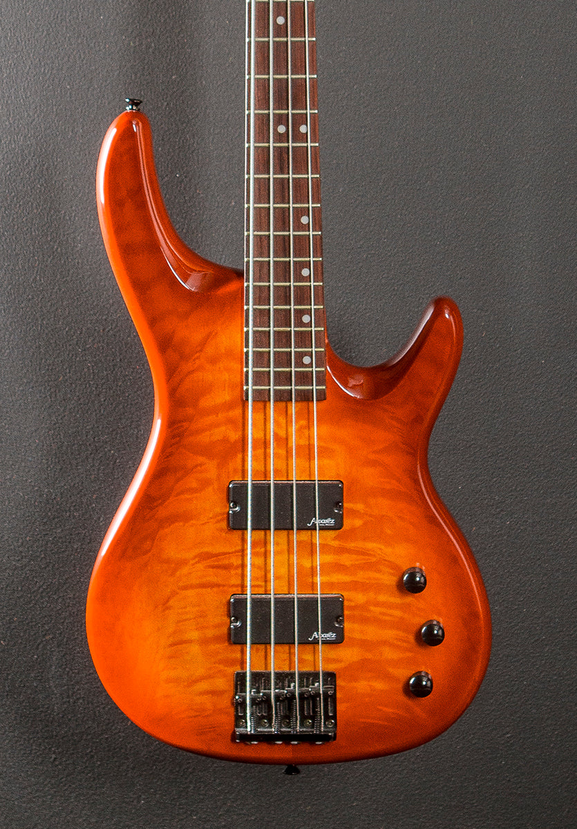 AEB4 Bass, Early 2000's