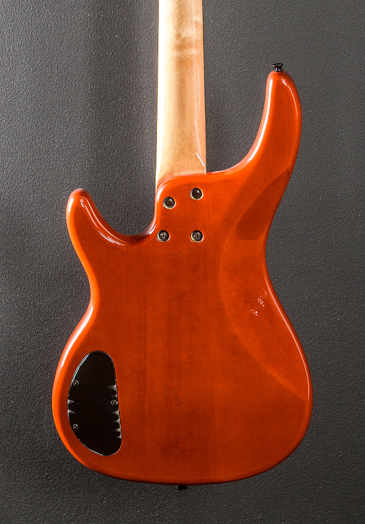 AEB4 Bass, Early 2000's