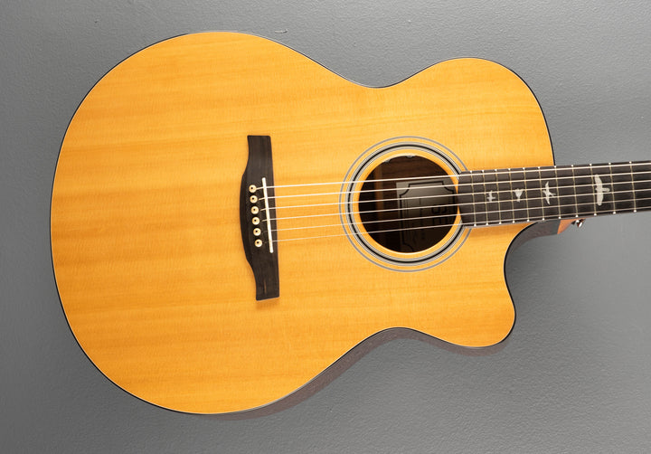 SE Angelus A30E, Recent