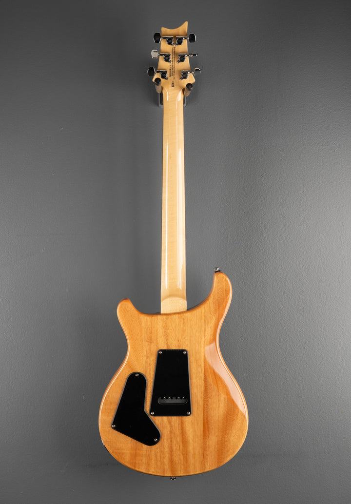 SE Custom 24 &