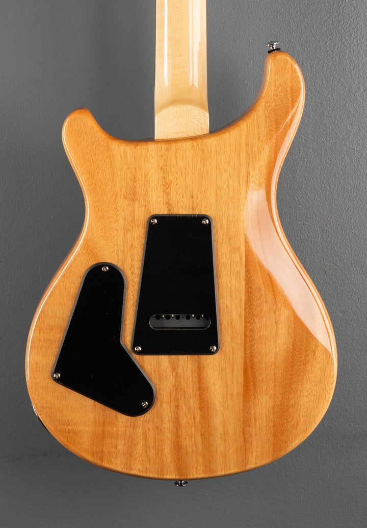 SE Custom 24 &