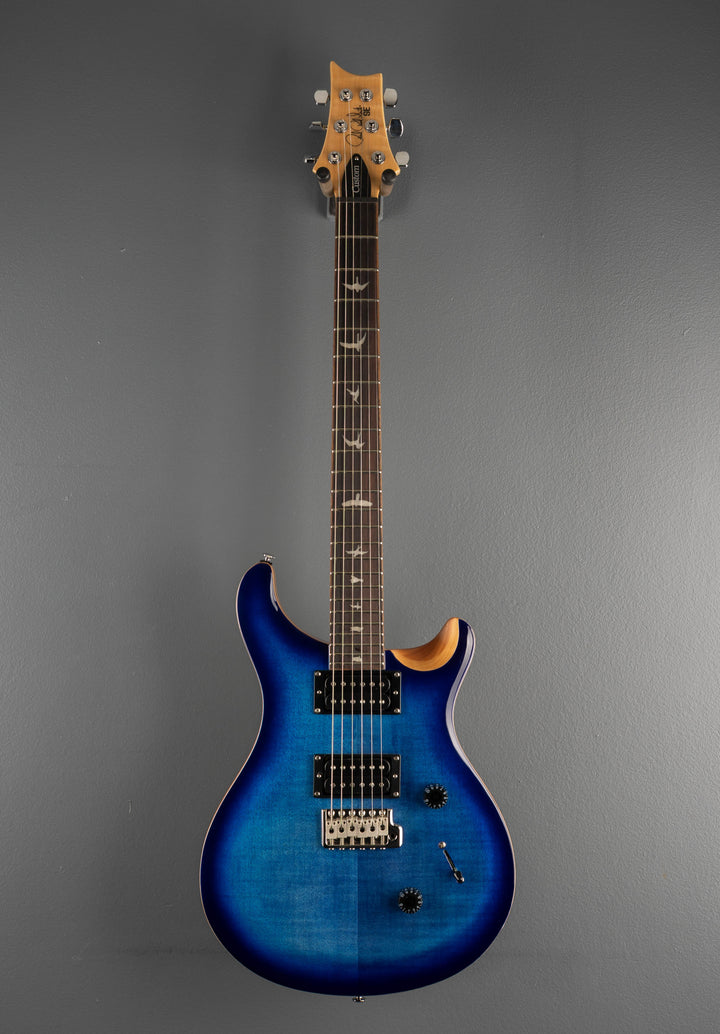 SE Custom 24 &