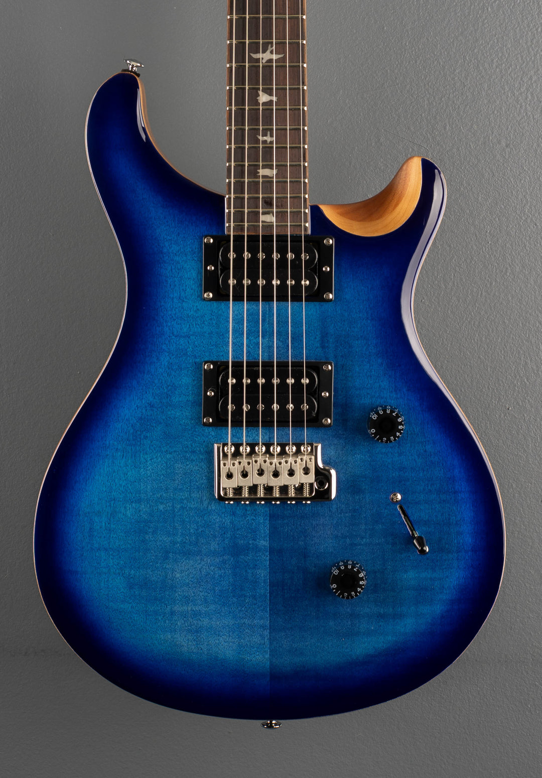SE Custom 24 &