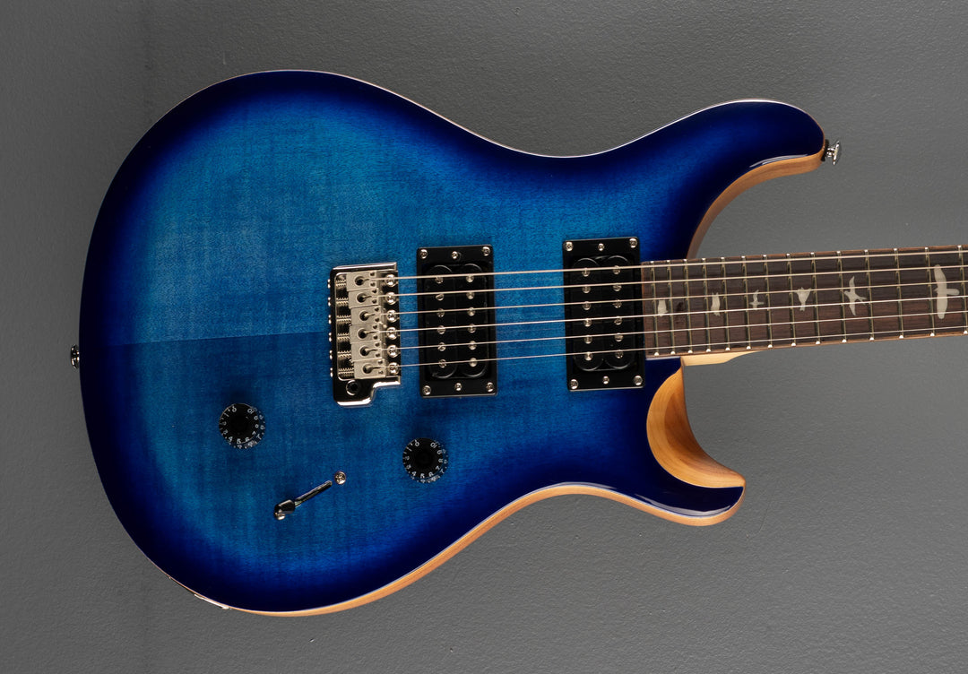 SE Custom 24 &
