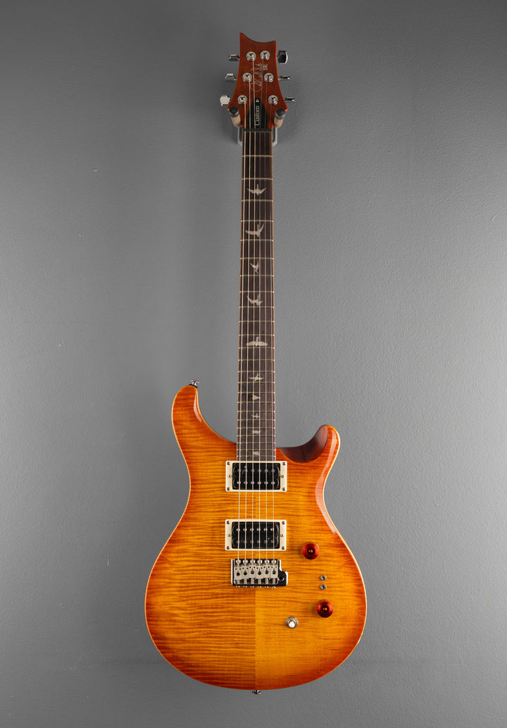 SE Custom 24-08 &