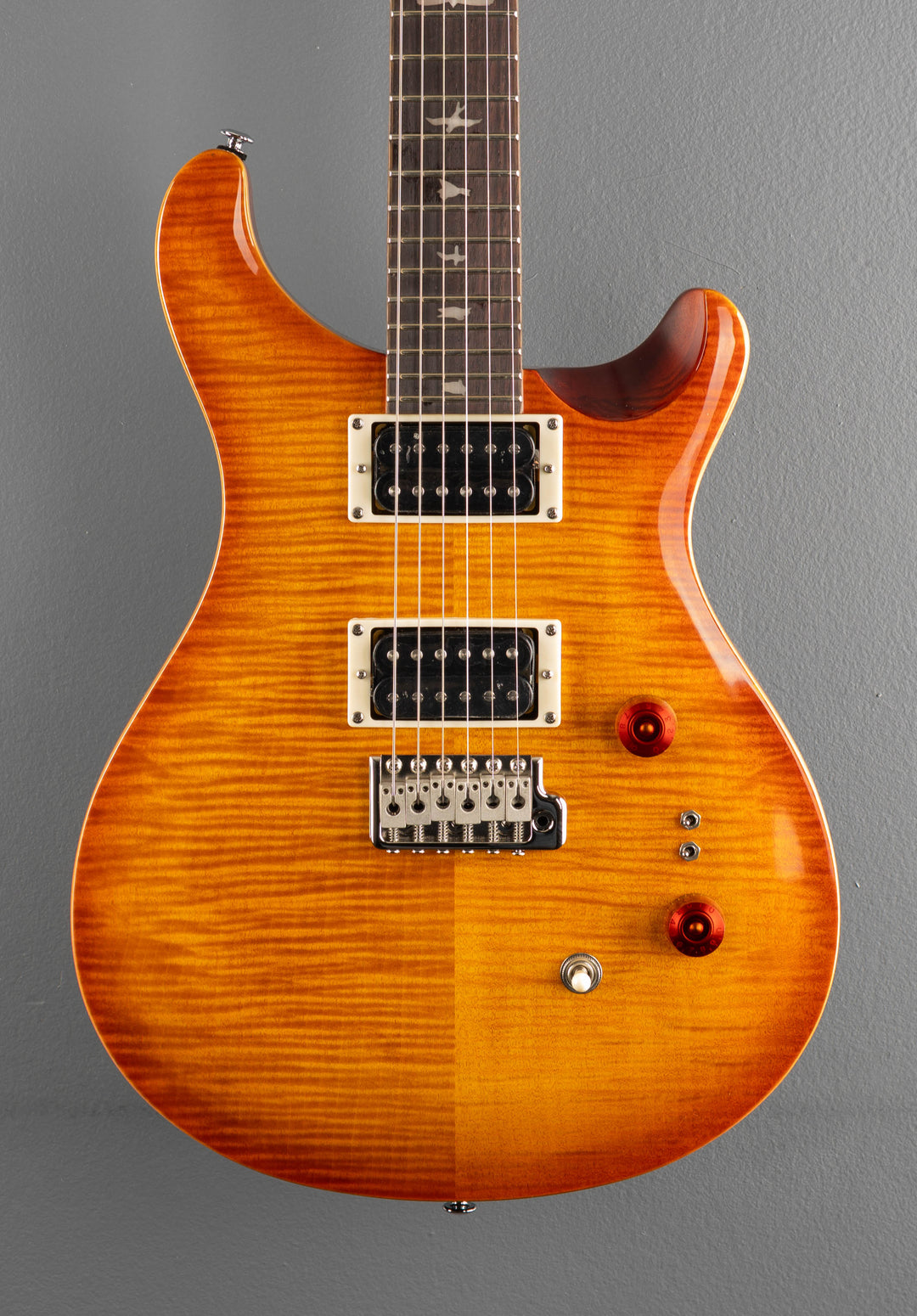 SE Custom 24-08 &