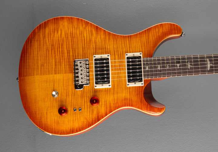 SE Custom 24-08 &