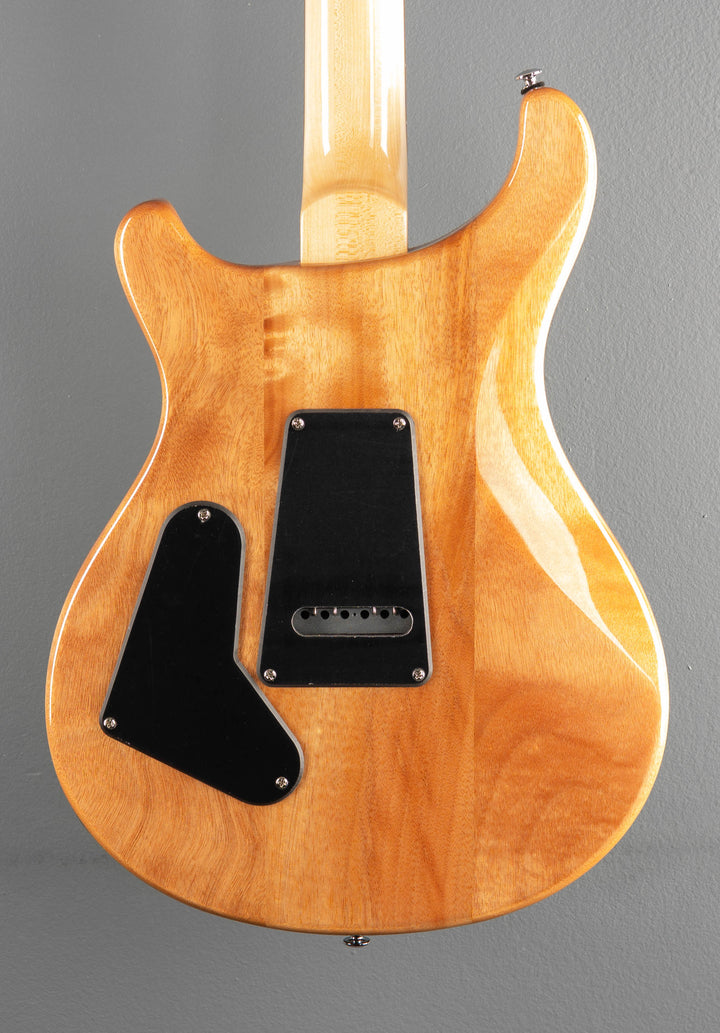 SE Custom 24-08 &