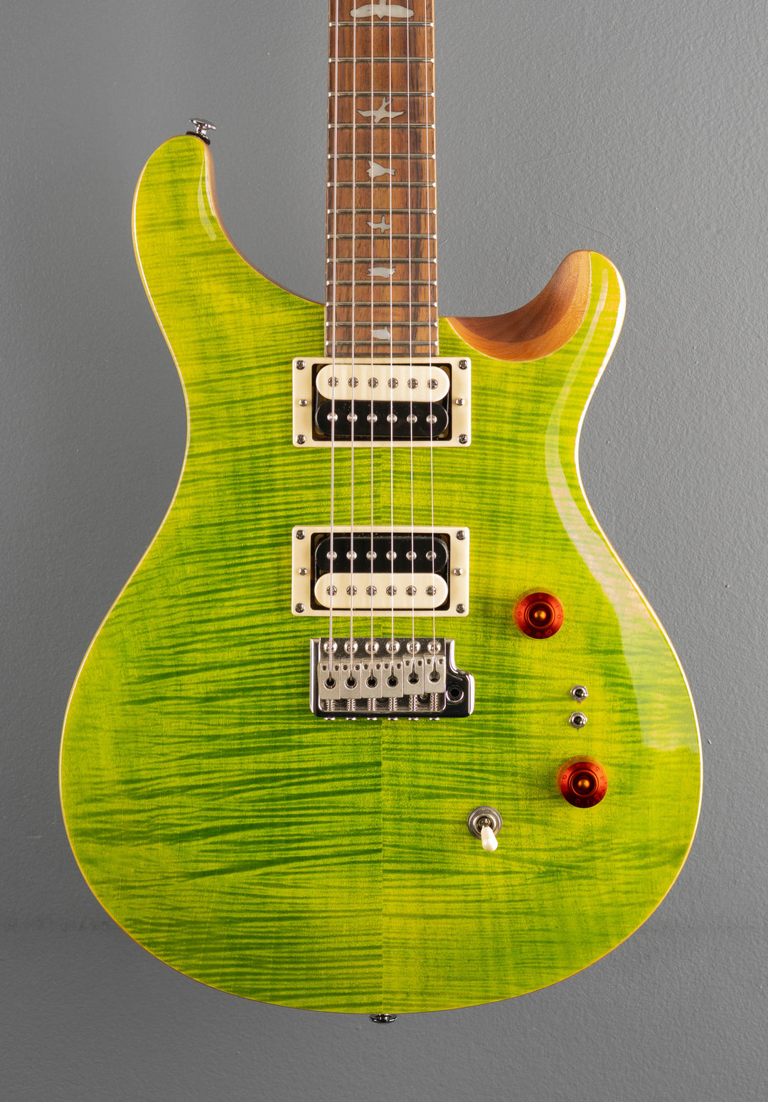 SE Custom 24-08 &